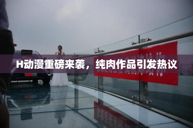 H动漫重磅来袭，纯肉作品引发热议