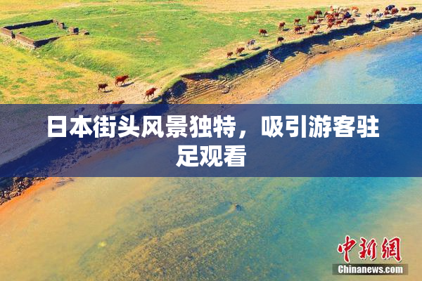 日本街头风景独特，吸引游客驻足观看