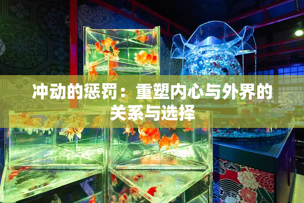 冲动的惩罚：重塑内心与外界的关系与选择