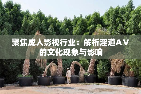 聚焦成人影视行业：解析淫道AⅤ的文化现象与影响
