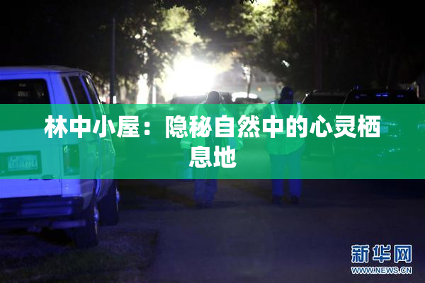 林中小屋：隐秘自然中的心灵栖息地