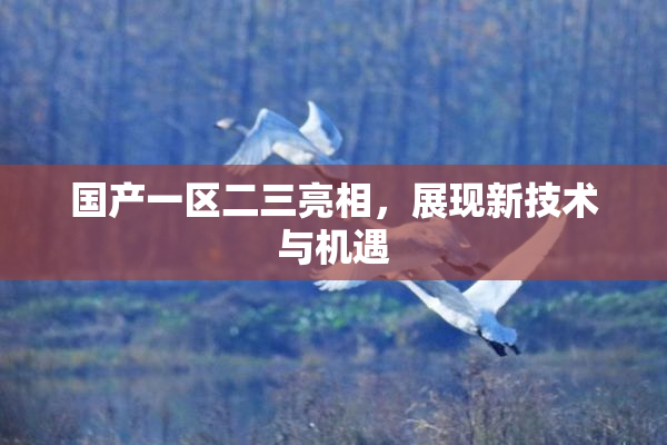 国产一区二三亮相，展现新技术与机遇