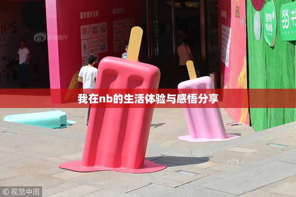 我在nb的生活体验与感悟分享