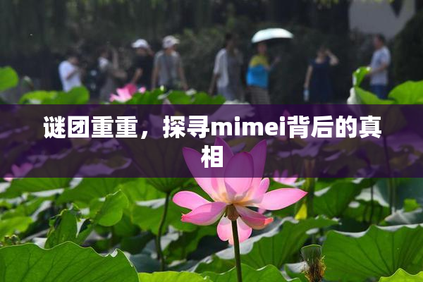 谜团重重，探寻mimei背后的真相