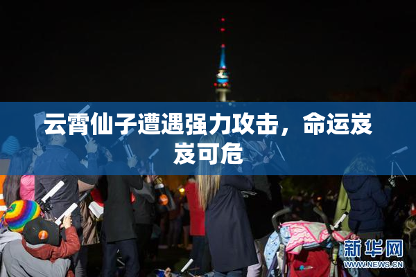 云霄仙子遭遇强力攻击，命运岌岌可危