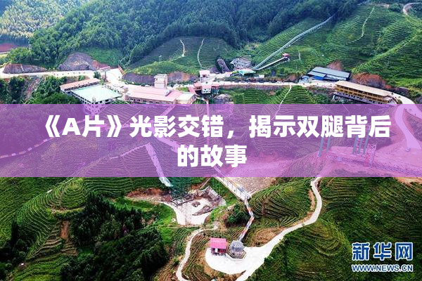 《A片》光影交错，揭示双腿背后的故事
