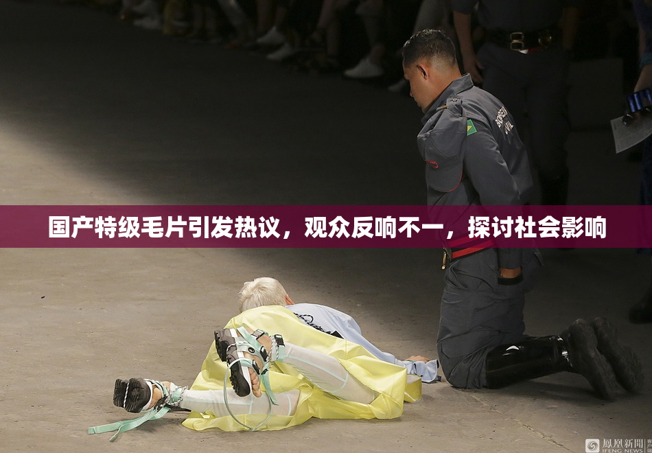 国产特级毛片引发热议，观众反响不一，探讨社会影响