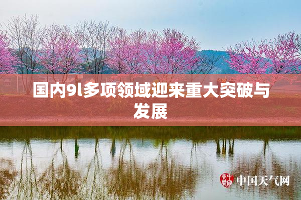 国内9l多项领域迎来重大突破与发展