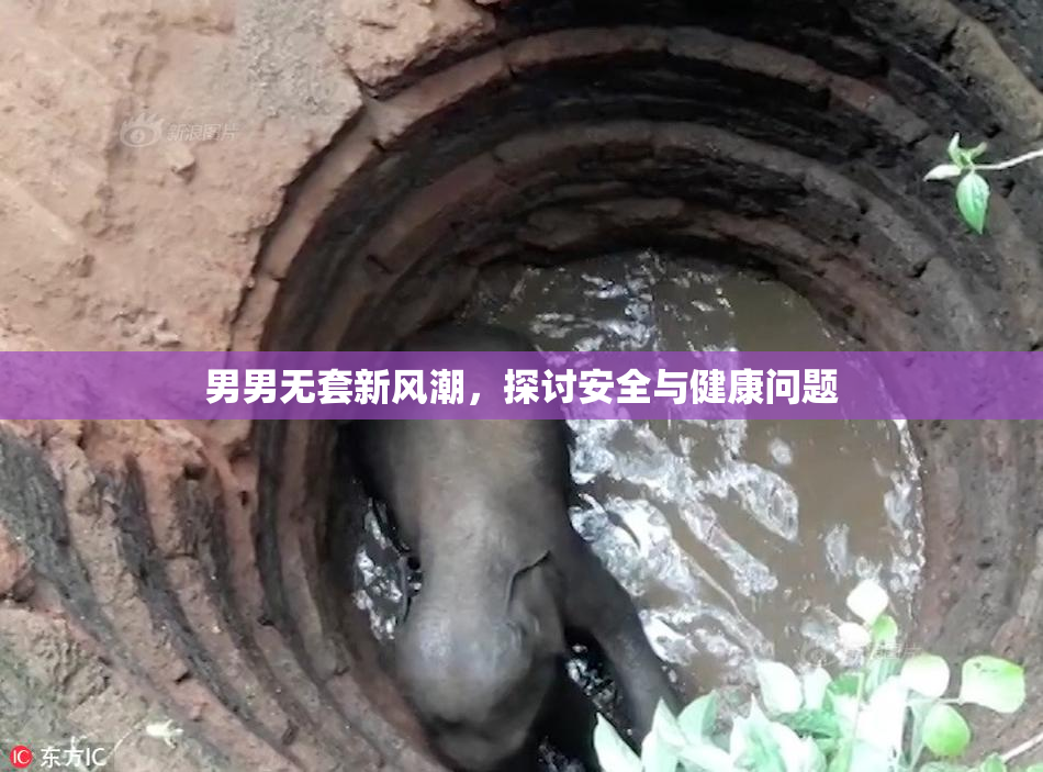 男男无套新风潮，探讨安全与健康问题