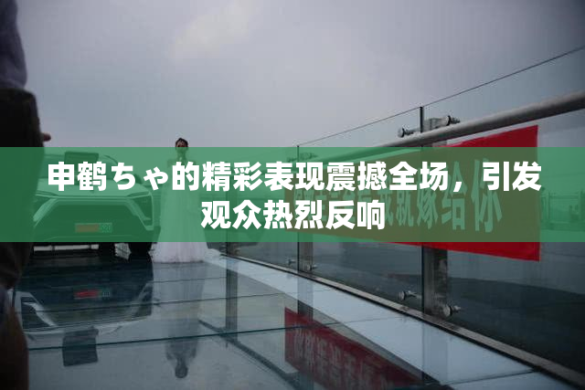 申鹤ちゃ的精彩表现震撼全场，引发观众热烈反响