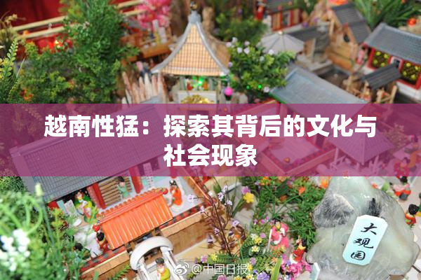 越南性猛：探索其背后的文化与社会现象