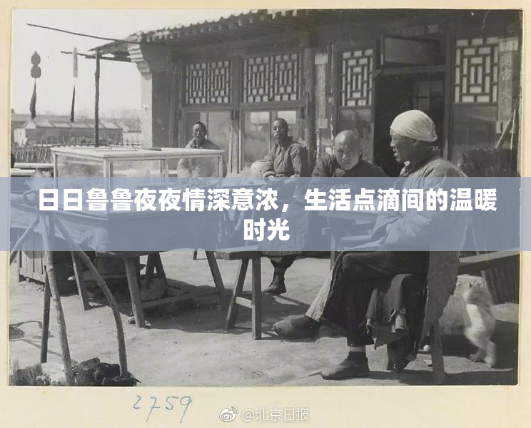 日日鲁鲁夜夜情深意浓，生活点滴间的温暖时光