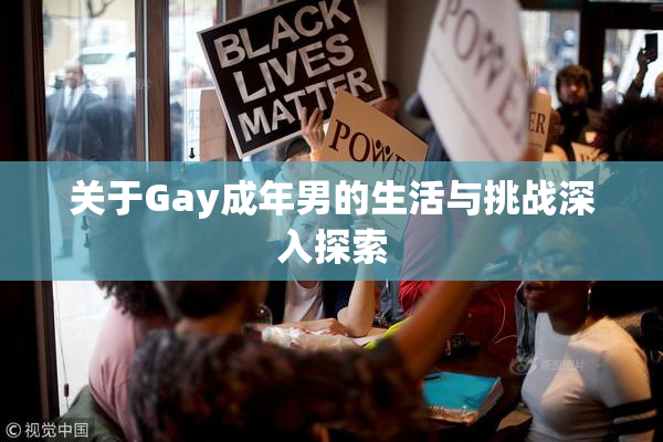 关于Gay成年男的生活与挑战深入探索