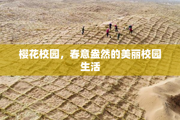 樱花校园，春意盎然的美丽校园生活