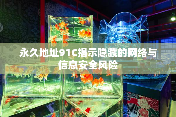 永久地址91C揭示隐藏的网络与信息安全风险