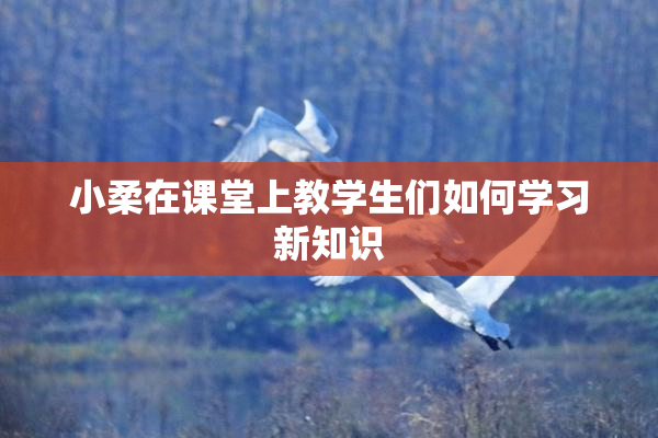 小柔在课堂上教学生们如何学习新知识