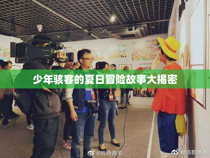 少年骇客的夏日冒险故事大揭密