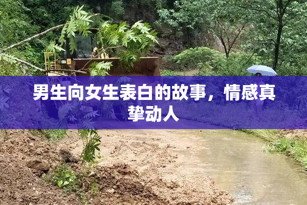 男生向女生表白的故事，情感真挚动人