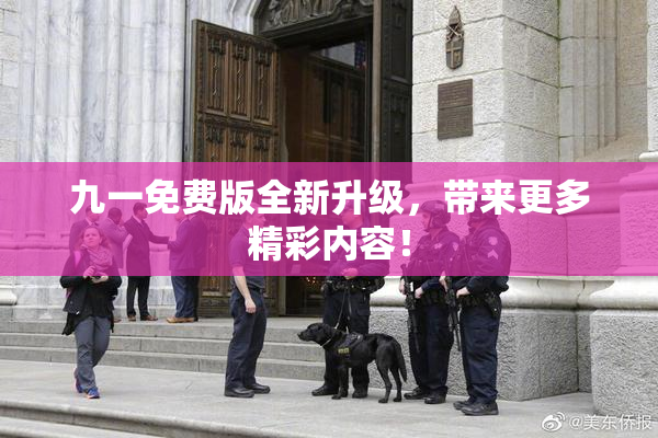 九一免费版全新升级，带来更多精彩内容！