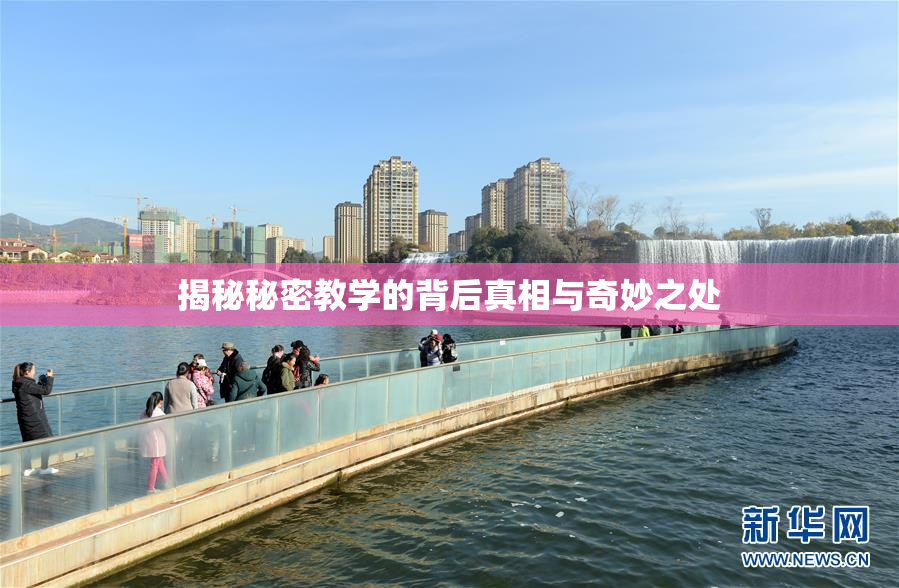 揭秘秘密教学的背后真相与奇妙之处