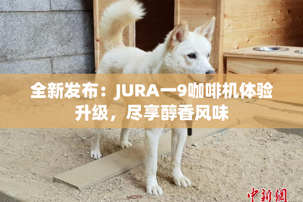 全新发布：JURA一9咖啡机体验升级，尽享醇香风味
