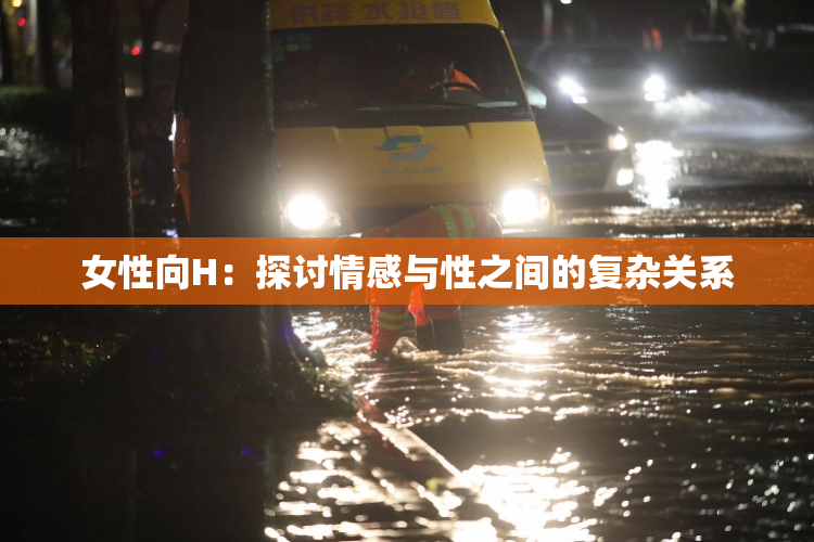 女性向H：探讨情感与性之间的复杂关系