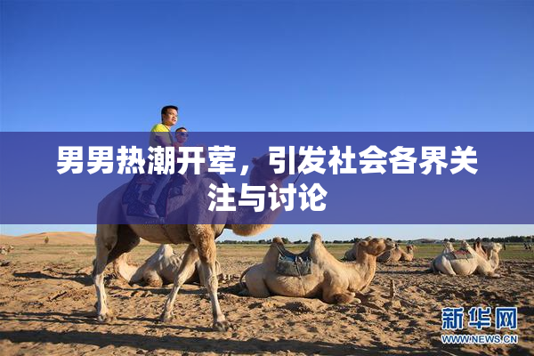 男男热潮开荤，引发社会各界关注与讨论