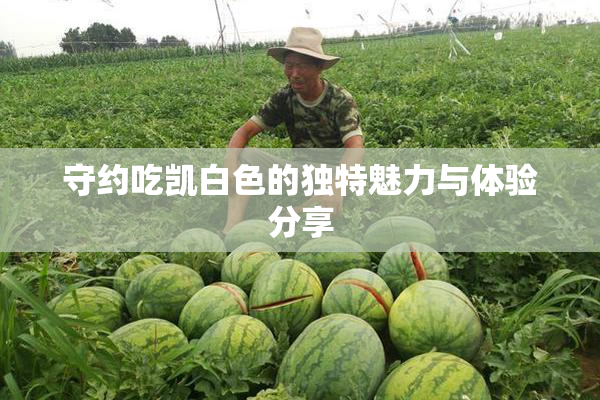 守约吃凯白色的独特魅力与体验分享