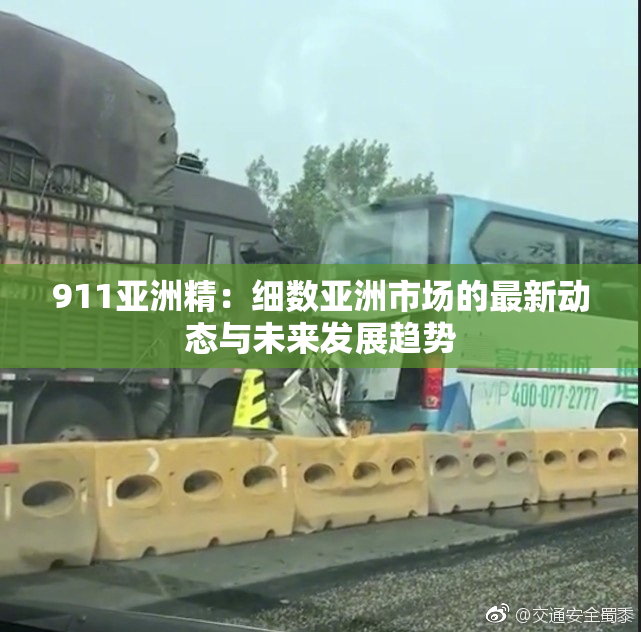 911亚洲精：细数亚洲市场的最新动态与未来发展趋势