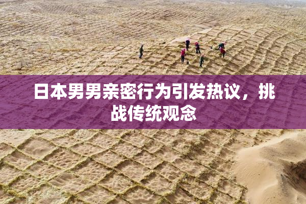 日本男男亲密行为引发热议，挑战传统观念