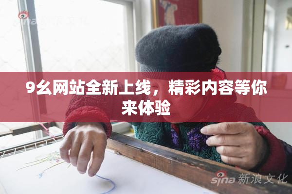 9幺网站全新上线，精彩内容等你来体验