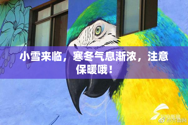 小雪来临，寒冬气息渐浓，注意保暖哦！