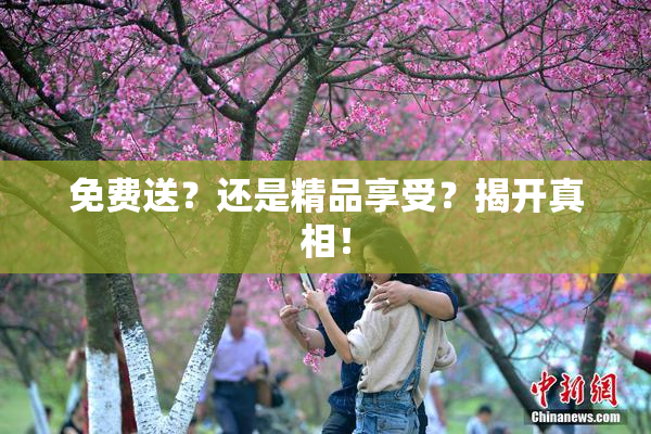 免费送？还是精品享受？揭开真相！