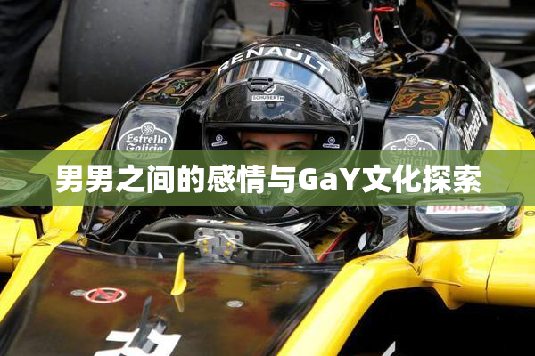 男男之间的感情与GaY文化探索