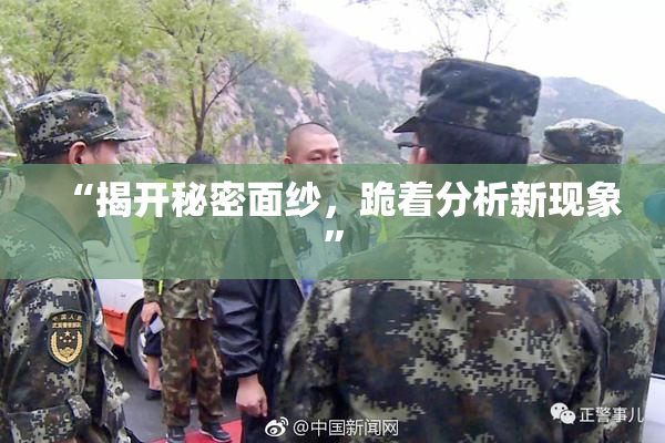 “揭开秘密面纱，跪着分析新现象”