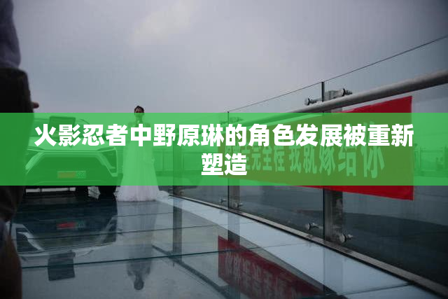 火影忍者中野原琳的角色发展被重新塑造