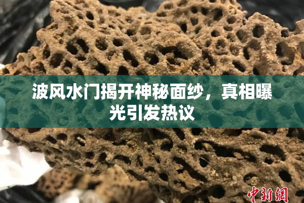 波风水门揭开神秘面纱，真相曝光引发热议