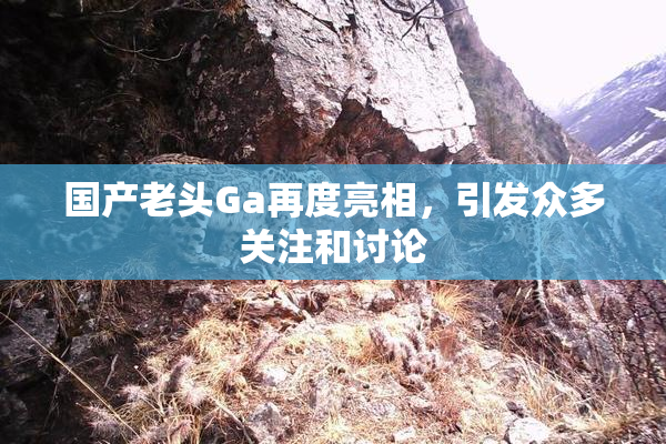 国产老头Ga再度亮相，引发众多关注和讨论