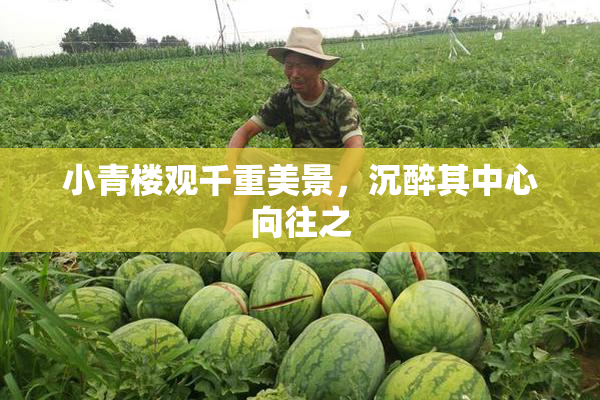 小青楼观千重美景，沉醉其中心向往之