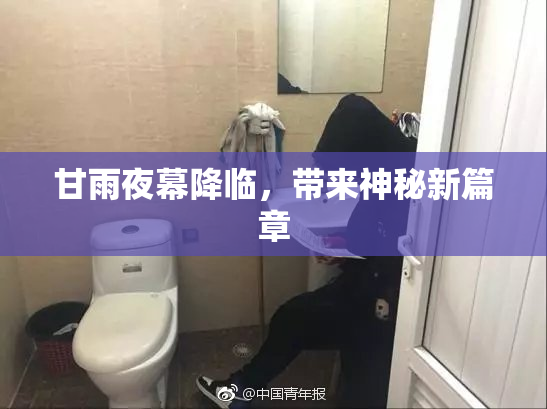 甘雨夜幕降临，带来神秘新篇章