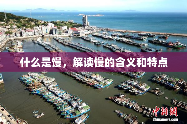 什么是馒，解读馒的含义和特点