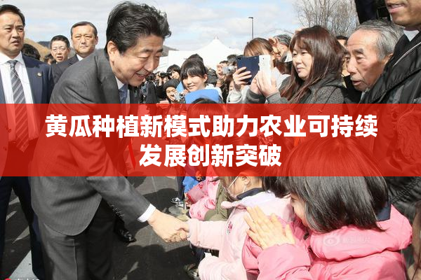 黄瓜种植新模式助力农业可持续发展创新突破