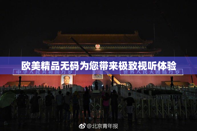 欧美精品无码为您带来极致视听体验