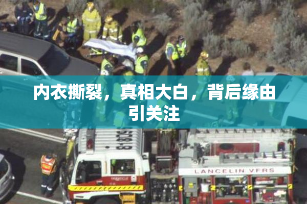 内衣撕裂，真相大白，背后缘由引关注