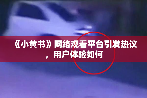 《小黄书》网络观看平台引发热议，用户体验如何