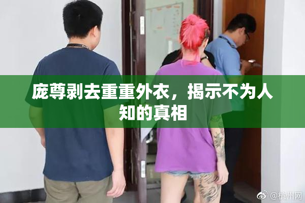 庞尊剥去重重外衣，揭示不为人知的真相