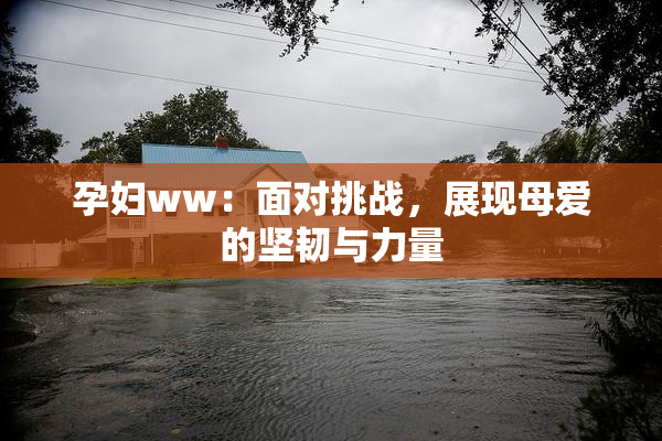 孕妇ww：面对挑战，展现母爱的坚韧与力量