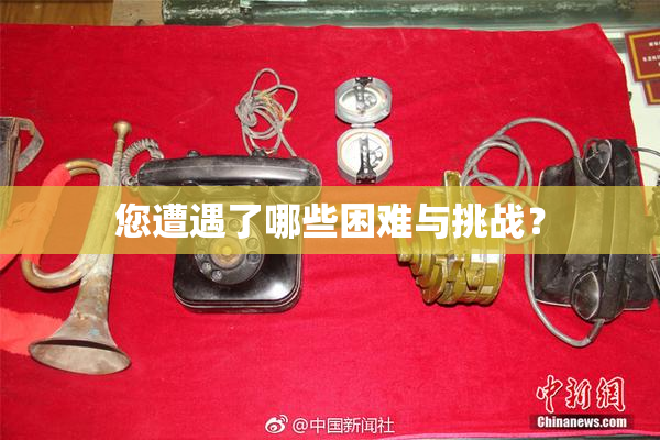 您遭遇了哪些困难与挑战？