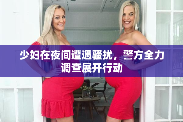 少妇在夜间遭遇骚扰，警方全力调查展开行动