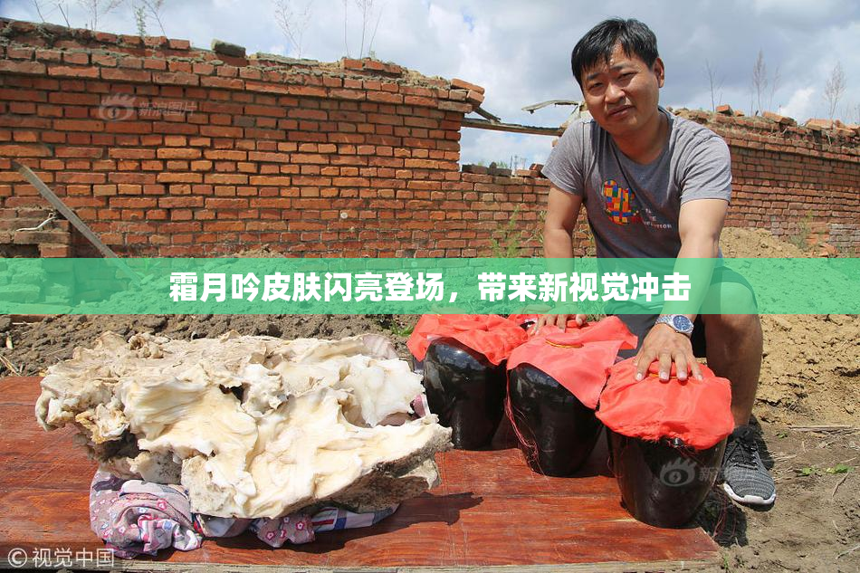霜月吟皮肤闪亮登场，带来新视觉冲击